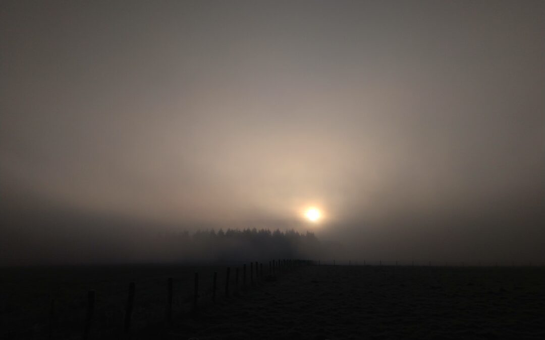 Graue Nebelwand mit Sonne