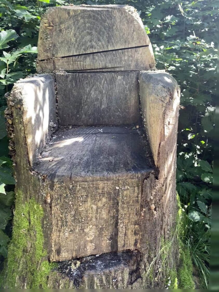 Aus Baumstamm ausgehauener Sessel